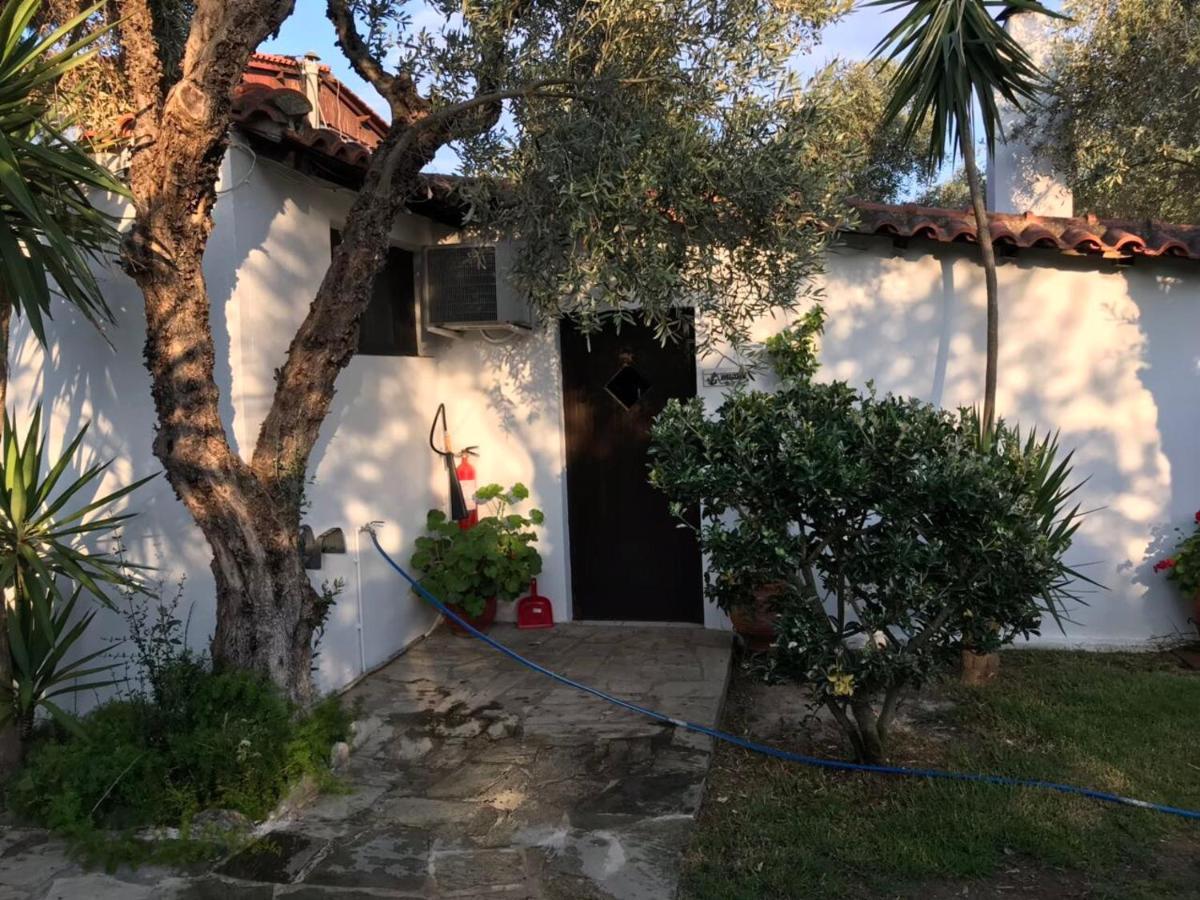 Oasis Apart otel İskados Dış mekan fotoğraf